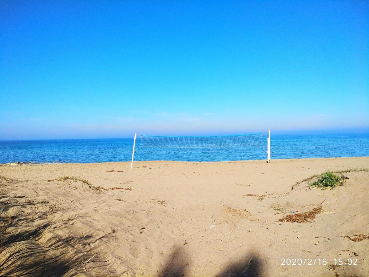 Estupendo Apartamento En Primera Linea De Playa Y Con Vistas Al Mar Dénia Eksteriør billede