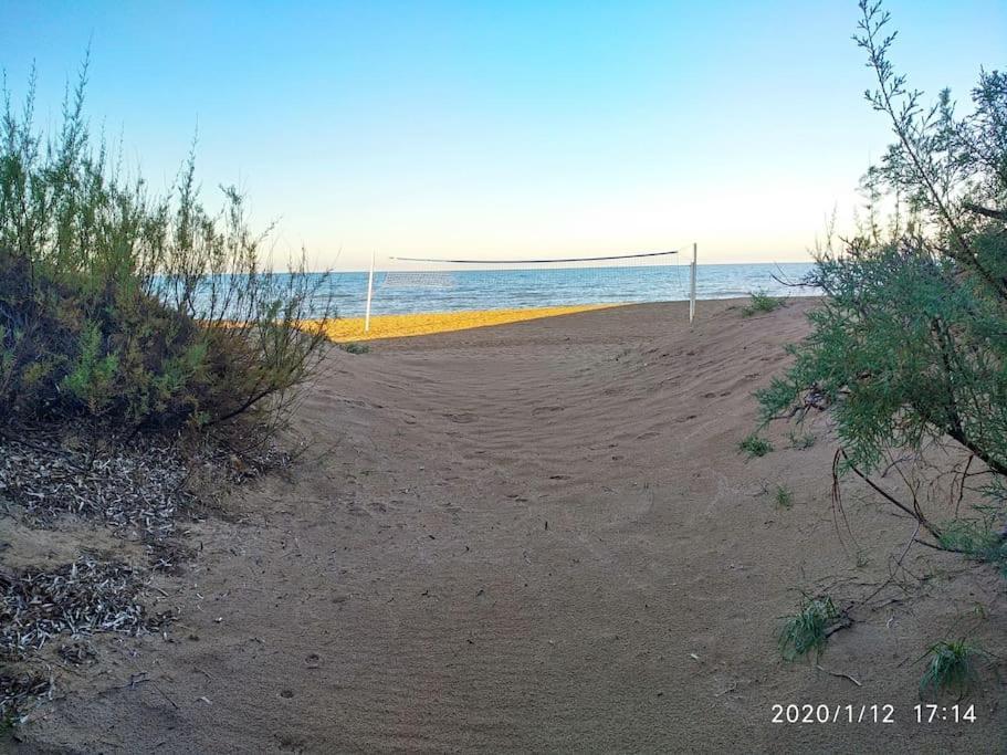 Estupendo Apartamento En Primera Linea De Playa Y Con Vistas Al Mar Dénia Eksteriør billede